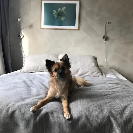 Noli Soernaeinen Hotel 4*