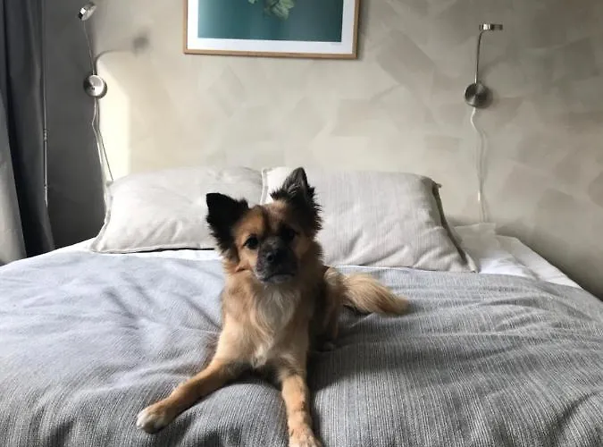 Noli Soernaeinen Hotel 4*